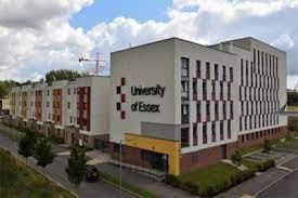 MSc Management (International)